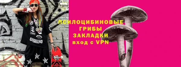 Альфа ПВП Няндома