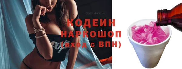 Альфа ПВП Няндома