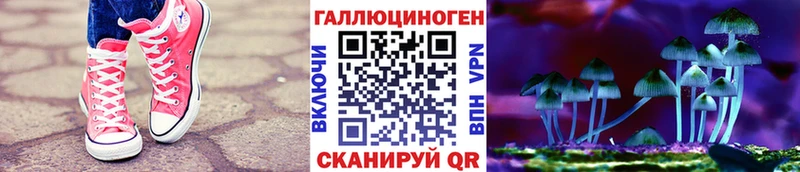 Псилоцибиновые грибы Magic Shrooms  Купить закладки  Камышин 